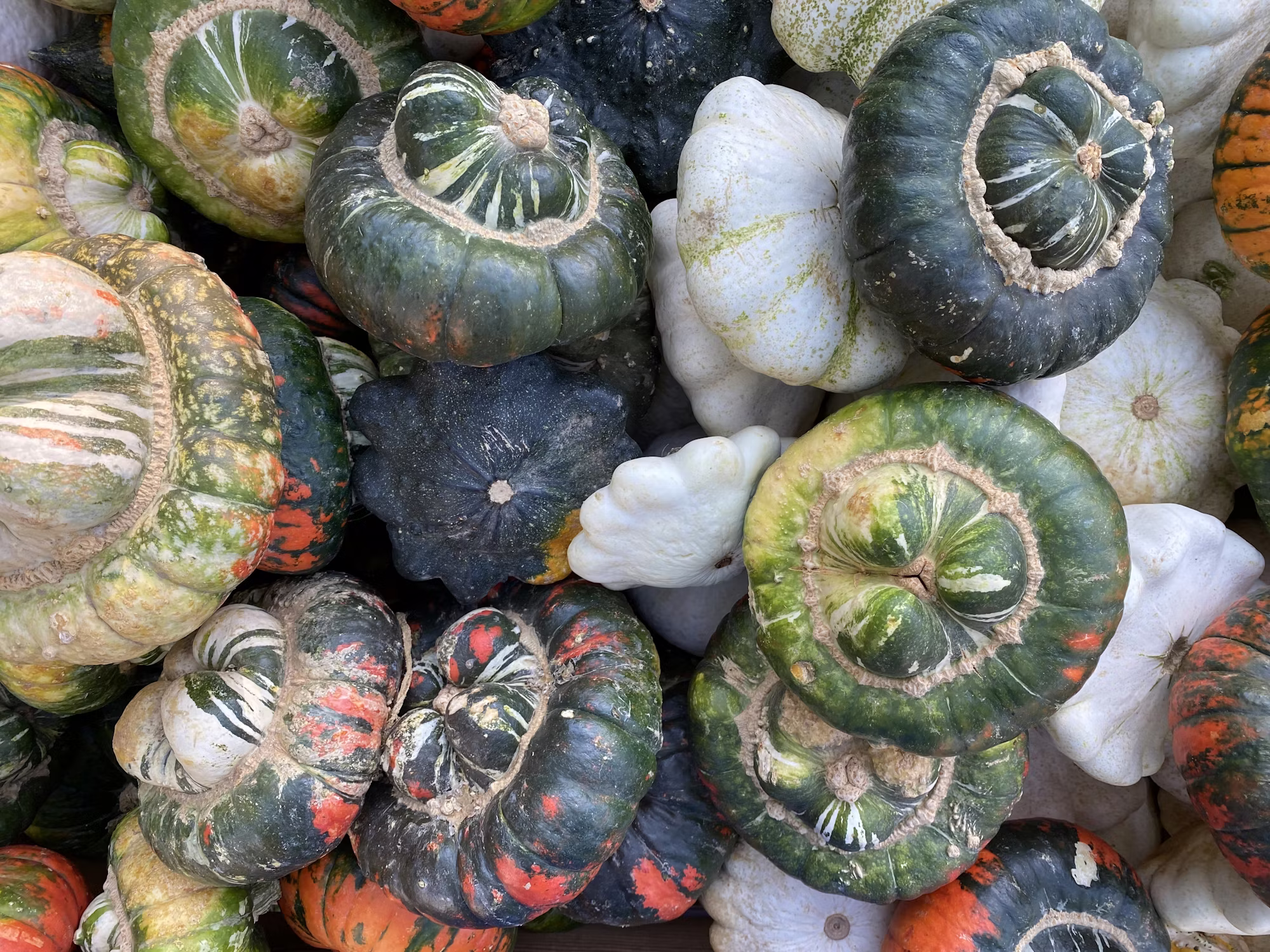 Exploring the World of Exotic Fruits: A Culinary Adventure